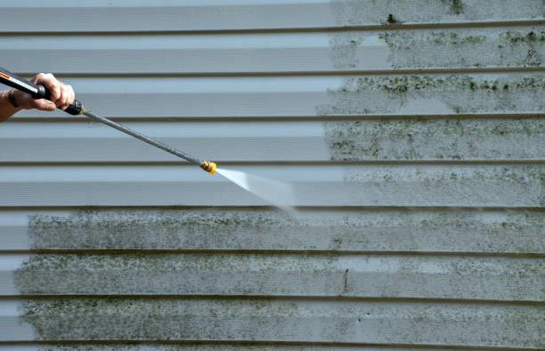 Best Warehouse Cleaning  in Ferris, TX