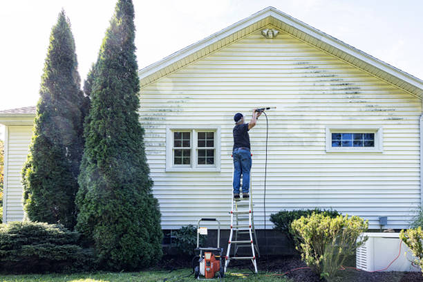 Professional Pressure Washing in Ferris, TX